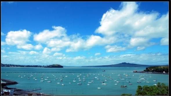 auckland5.jpg