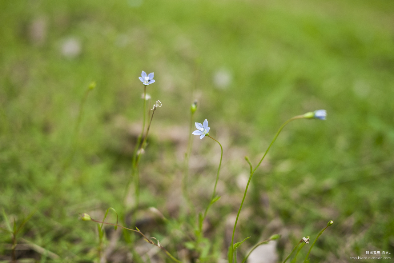 A95021A0D3CA9CB246F6037A090106D6AF2A11C1628A1_1280_855 (4).jpg