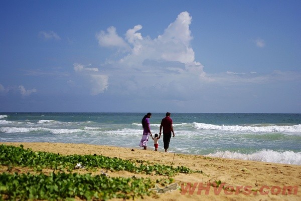 小马的画笔在斯里兰卡