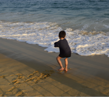 大家好，我是新人。多多关照